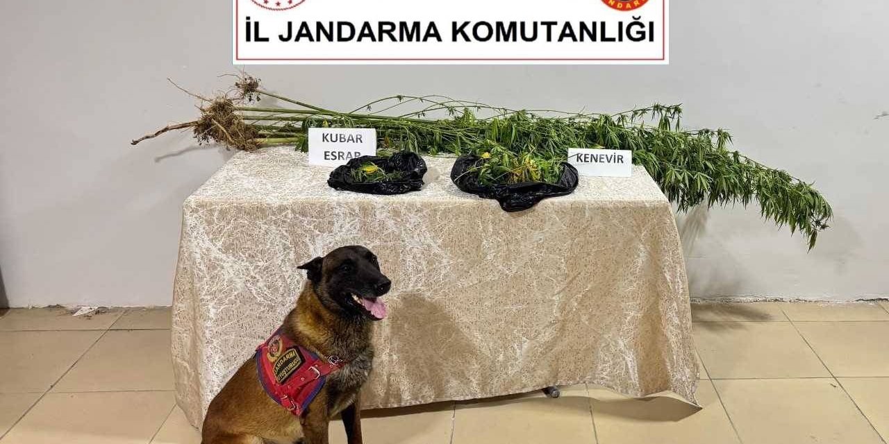 Elazığ’da uyuşturucuyla mücadele sürüyor