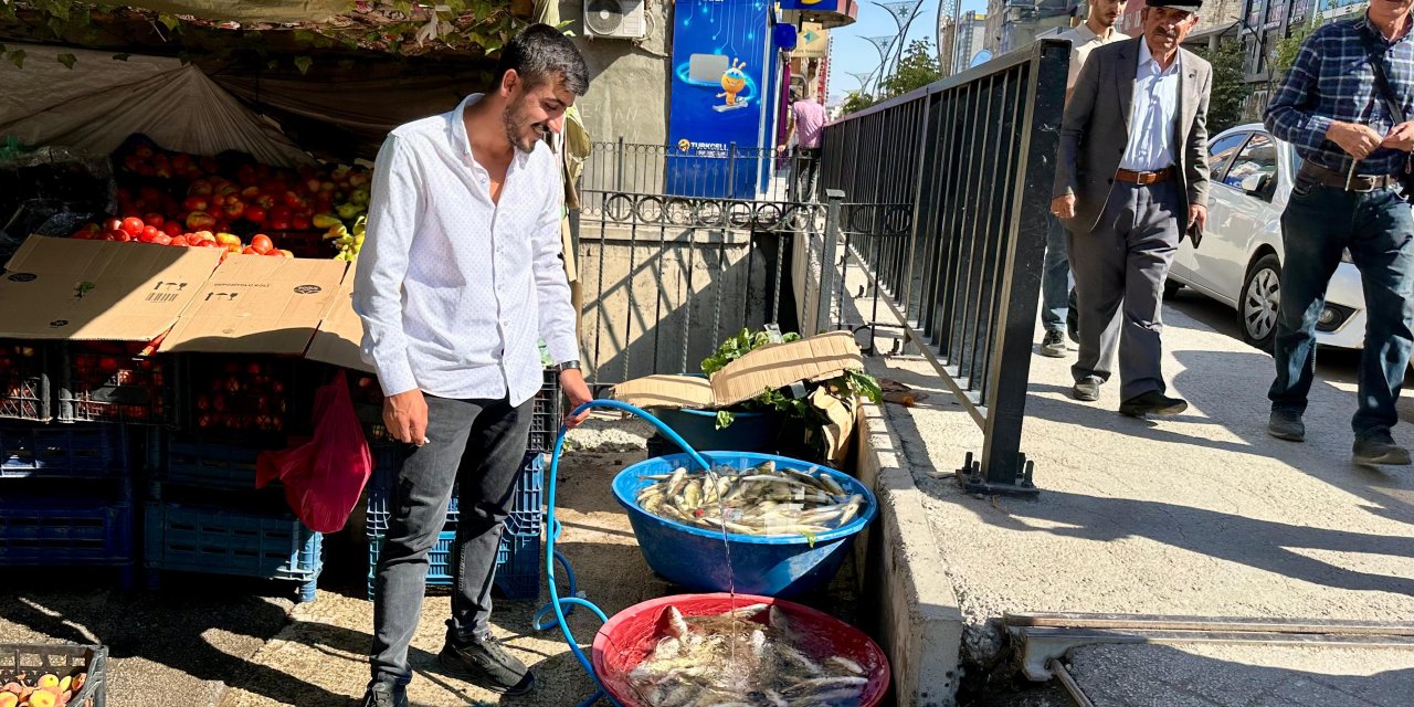 Yüksekova’da çay balığı sezonu başladı