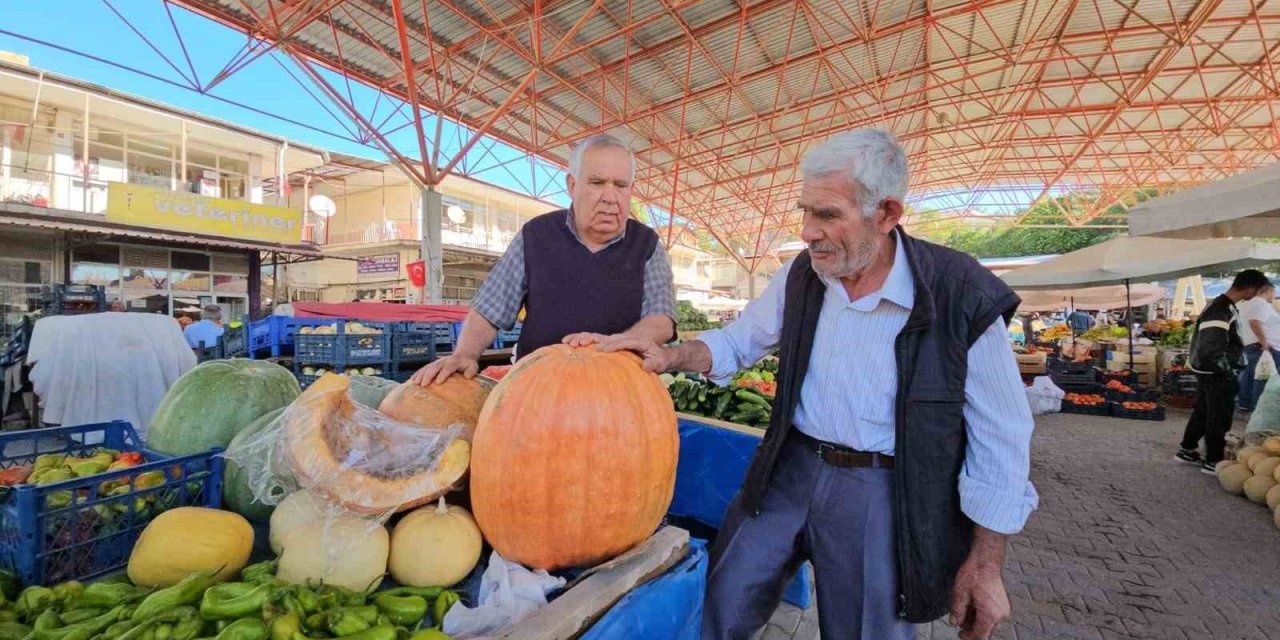 Darende’nin bal kabağı üreticinin yüzünü güldürüyor