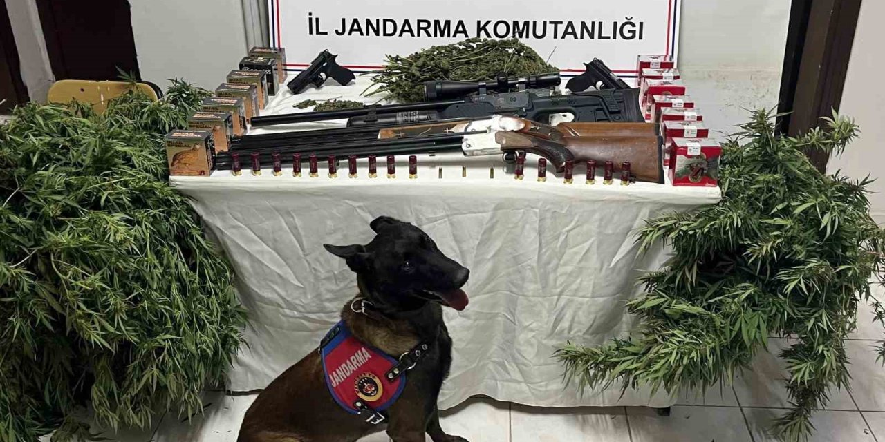 Şanlıurfa’da 1 kilo 508 gram kubar esrar ele geçirildi: 3 kişi gözaltında