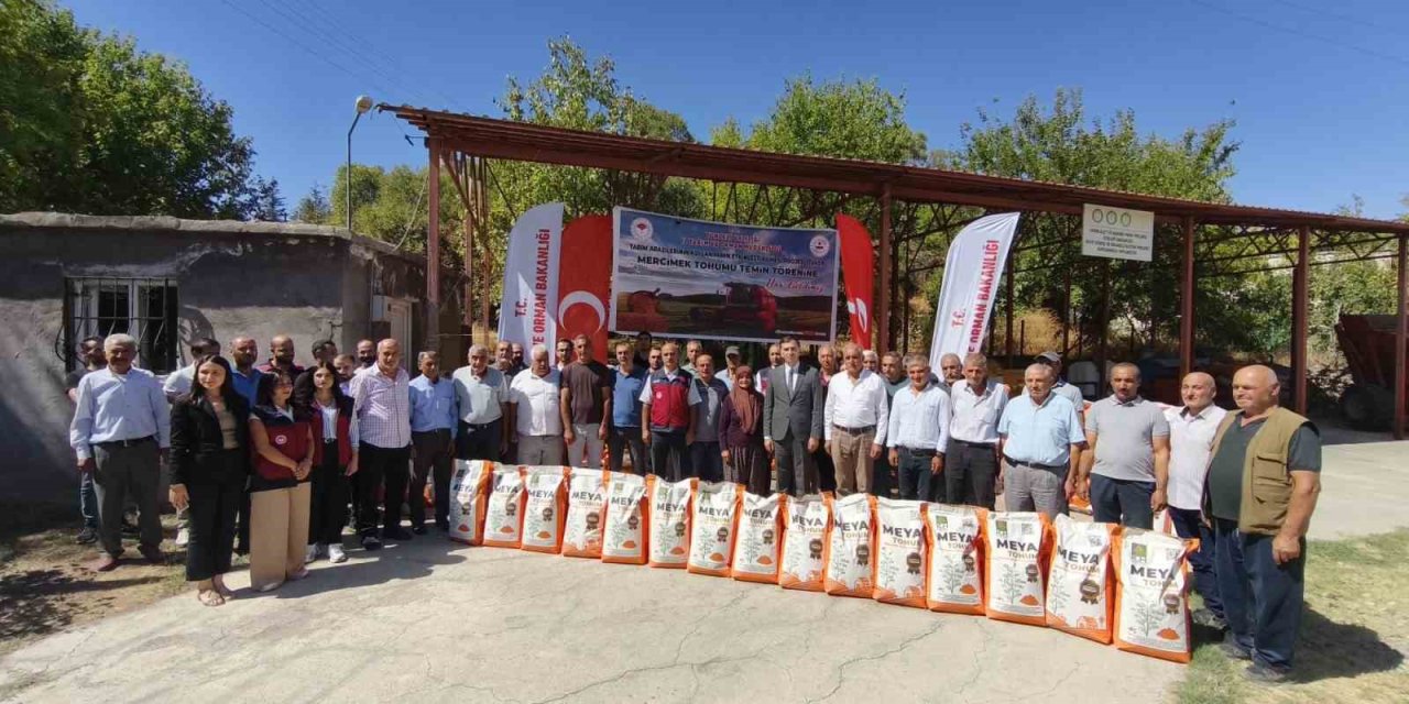 Tunceli’de üreticilere mercimek tohumu verildi
