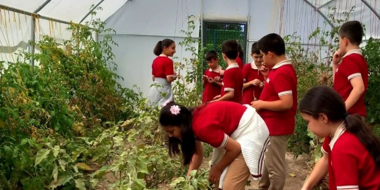 Öğrenciler serada kış sebzelerinin ekimine başladı