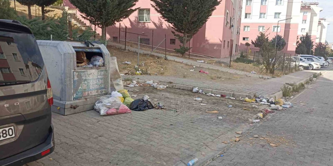 Tuşba’da yol ve çöp sorunu vatandaşları bıktırdı