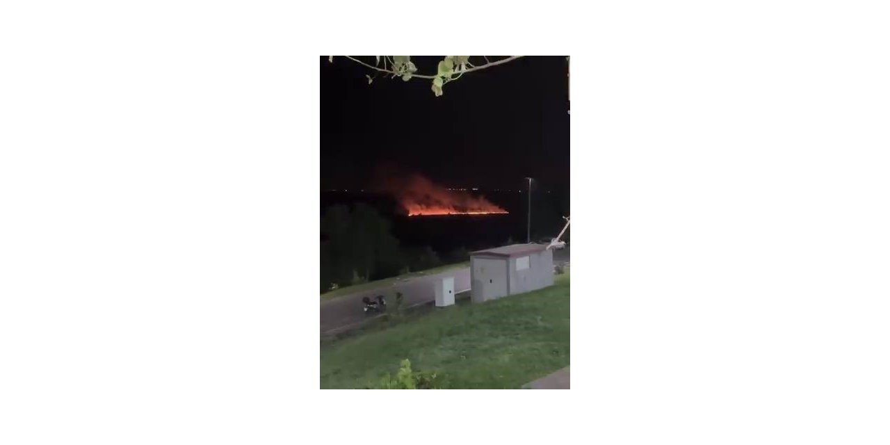 Dünya mirası listesindeki Hevsel Bahçeleri’nde yangın