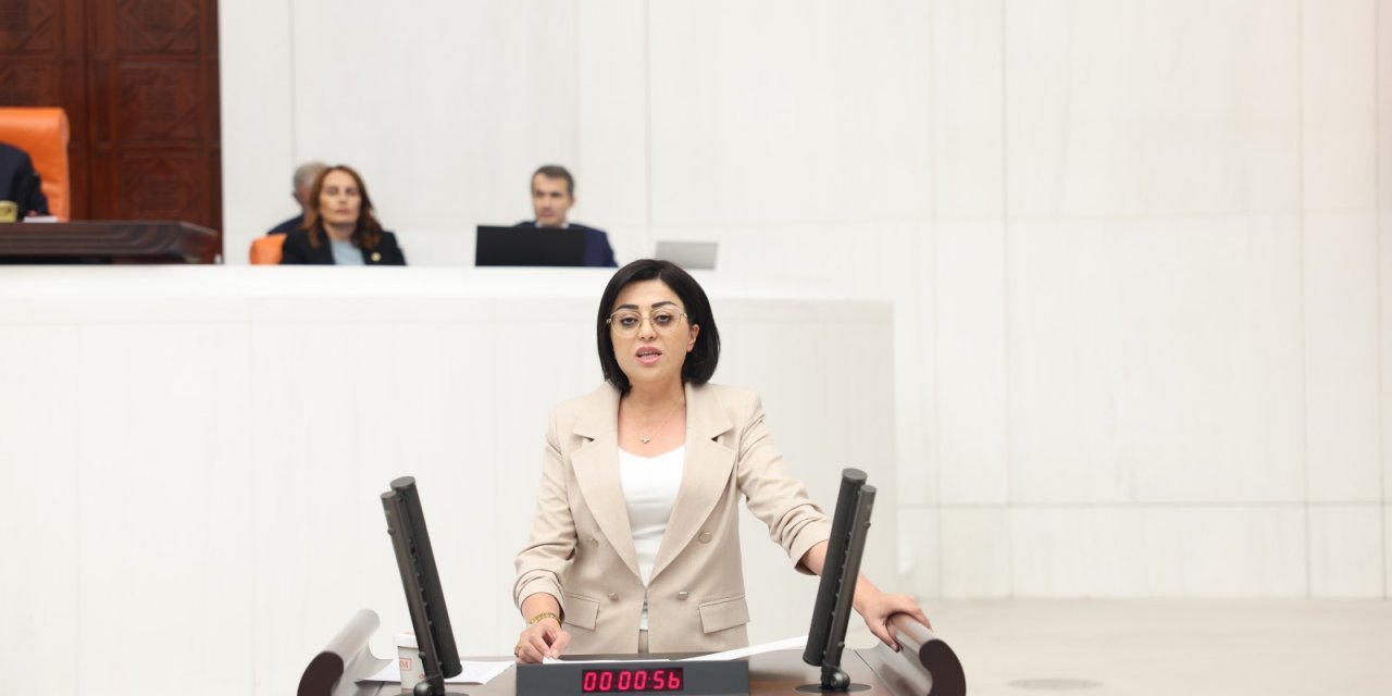 Hakkari ve ilçelerinde yaşanan su krizi Meclis gündeminde