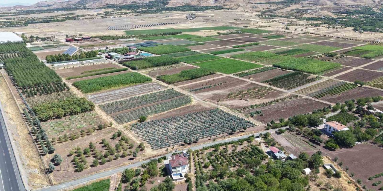 Elazığ’da üretilen milyonlarca fidan nefes oluyor
