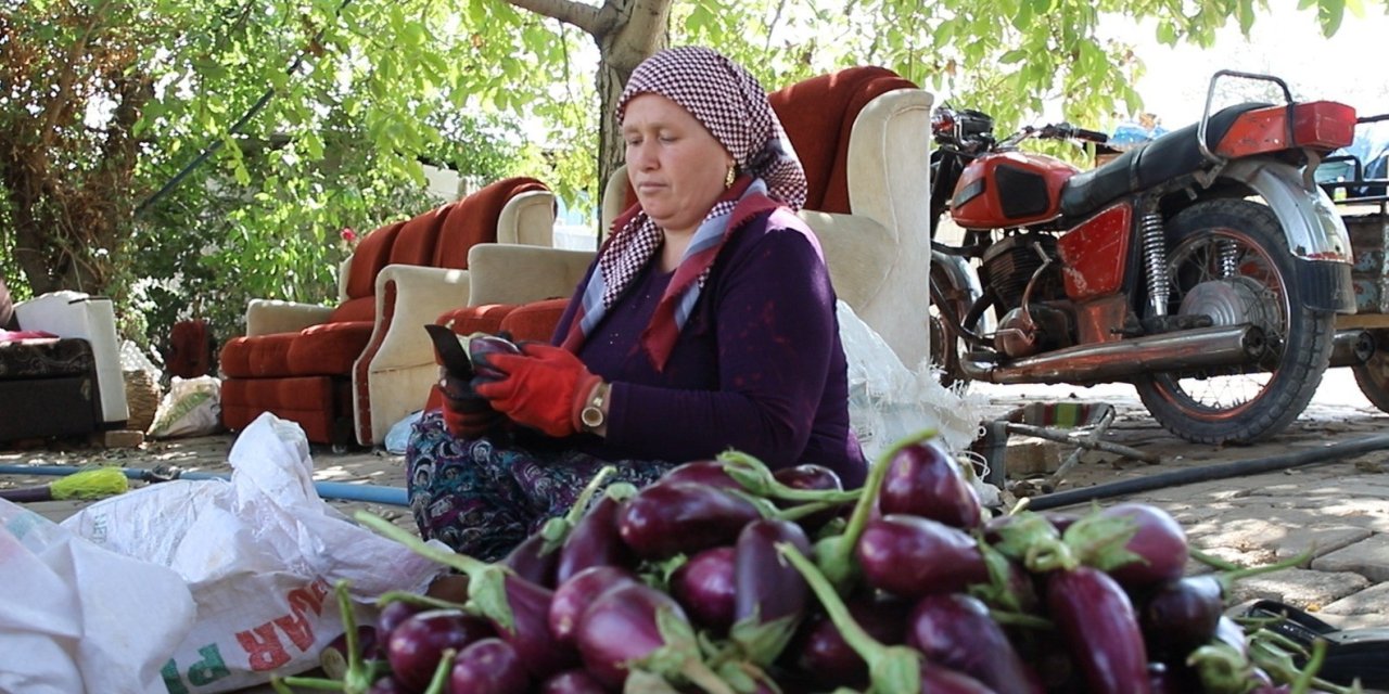 Gaziantepli kadınların kurutmalık mesaisi sürüyor