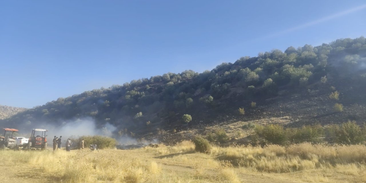 Diyarbakır’da anız yangını ormanlık alana yayıldı
