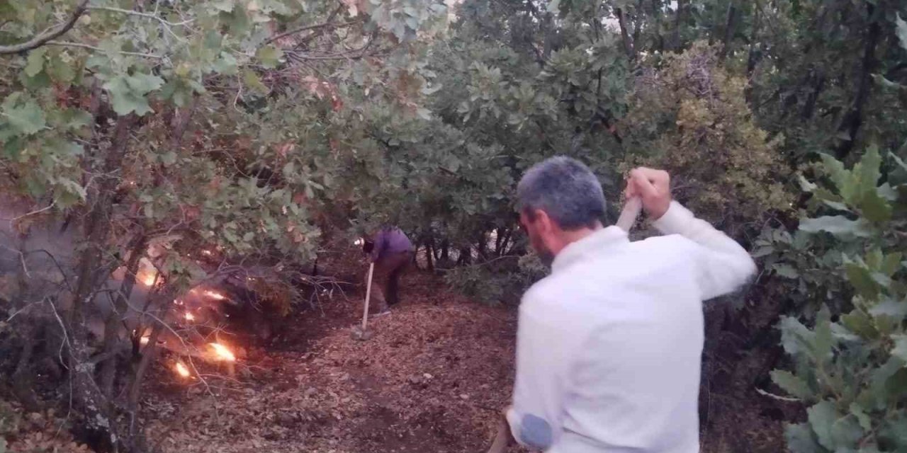 Elazığ’da ağaçlık alanda yangın çıktı