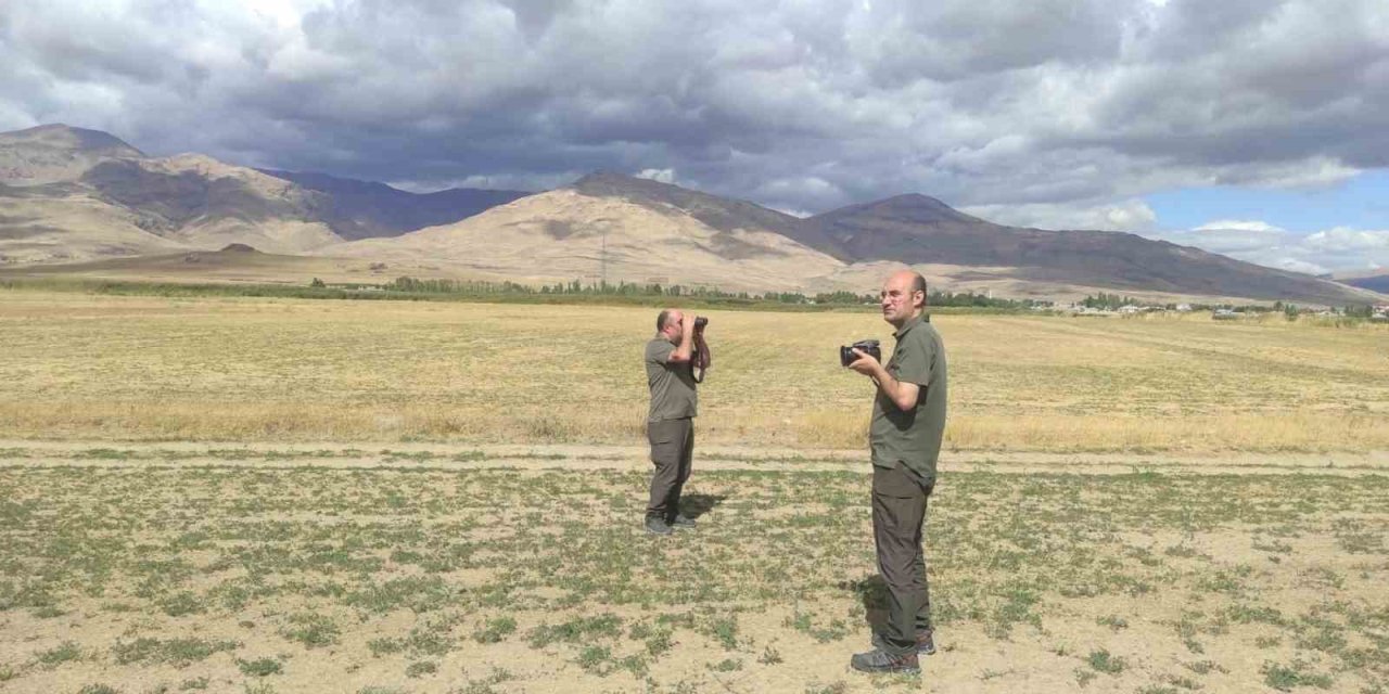 Van’da kafes avcılığı yapan şahsa 48 binlira cezai işlem uygulanacak