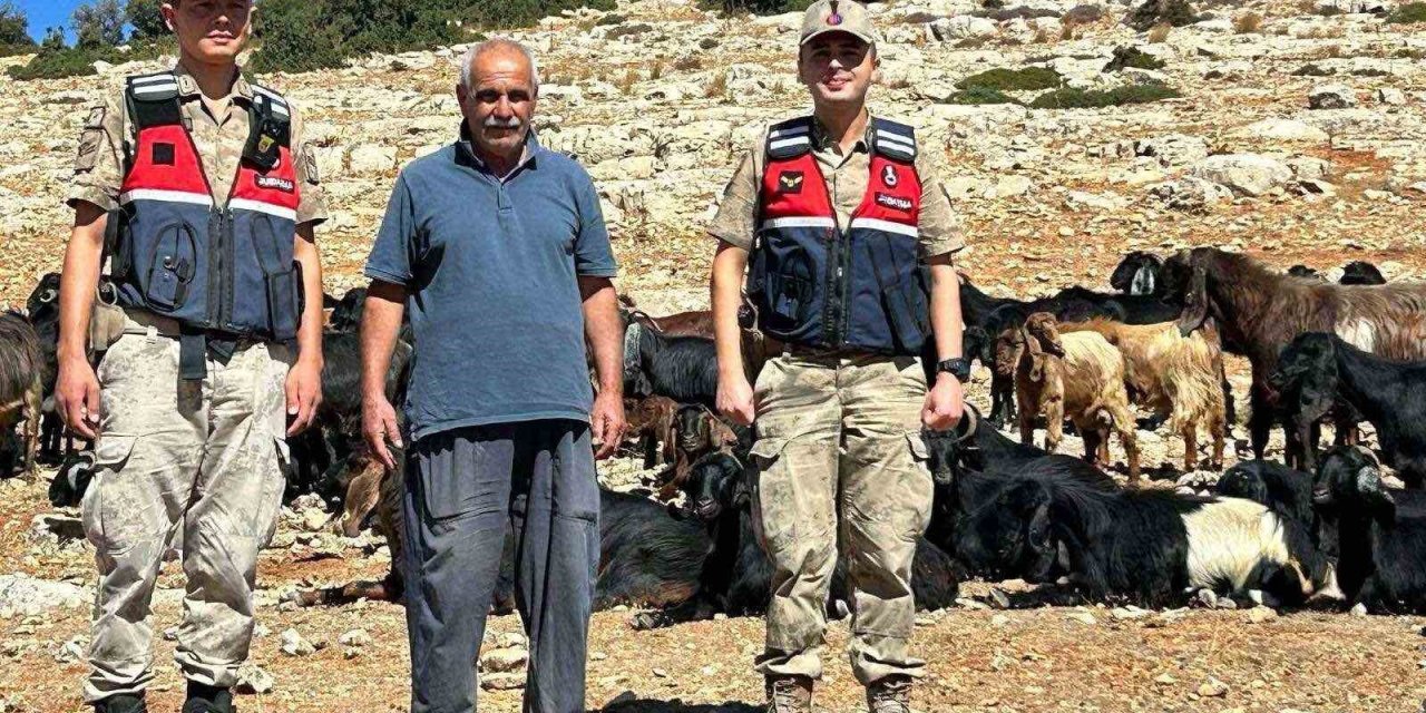Kilis’te kaybolan 100 küçükbaş hayvana ulaşıldı