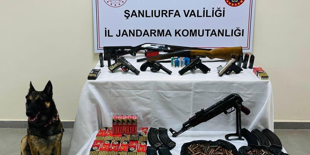 Şanlıurfa’da çok sayıda ruhsatsız silah ele geçirildi