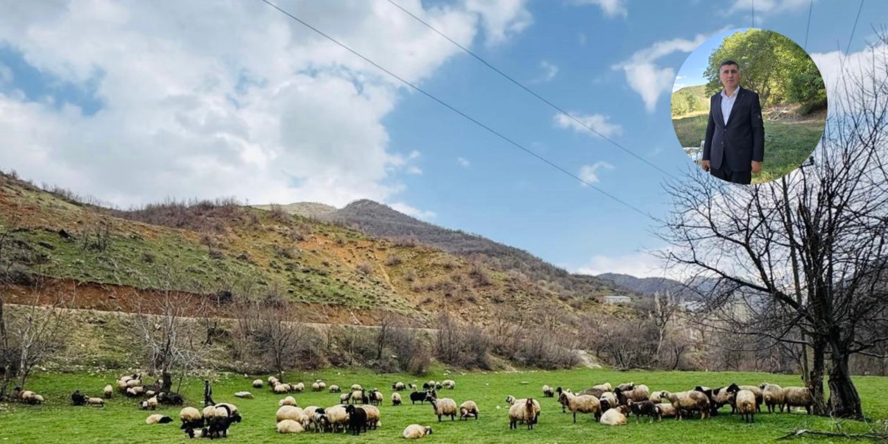 Derecik’te şap hastalığı yasağı mağduriyet yarattı