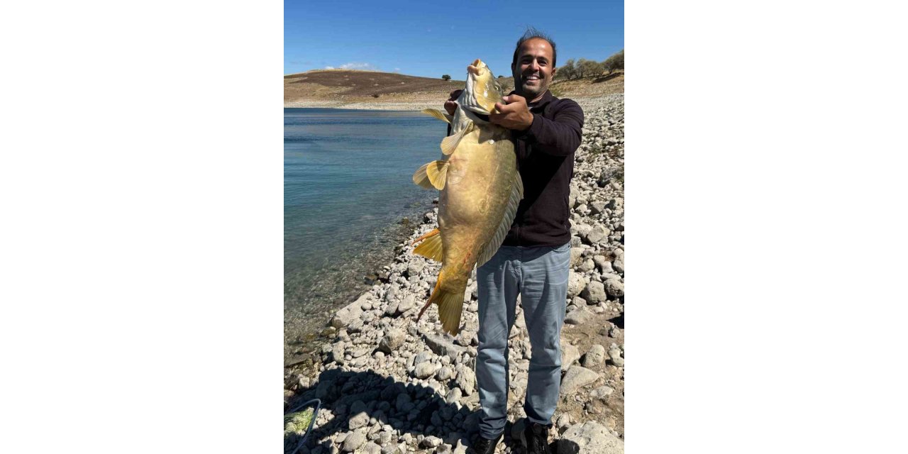 Elazığ’da 21 kiloluk dev sazan