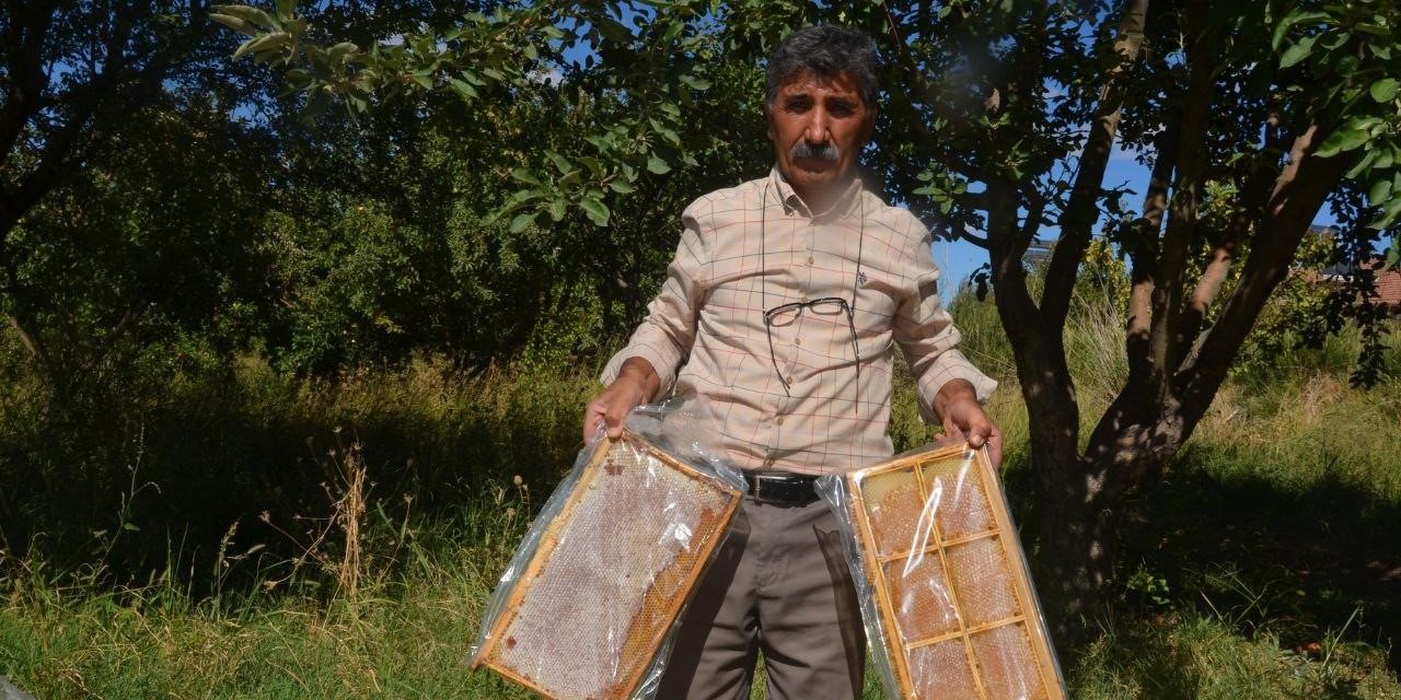 Malatya’da bal hasadı