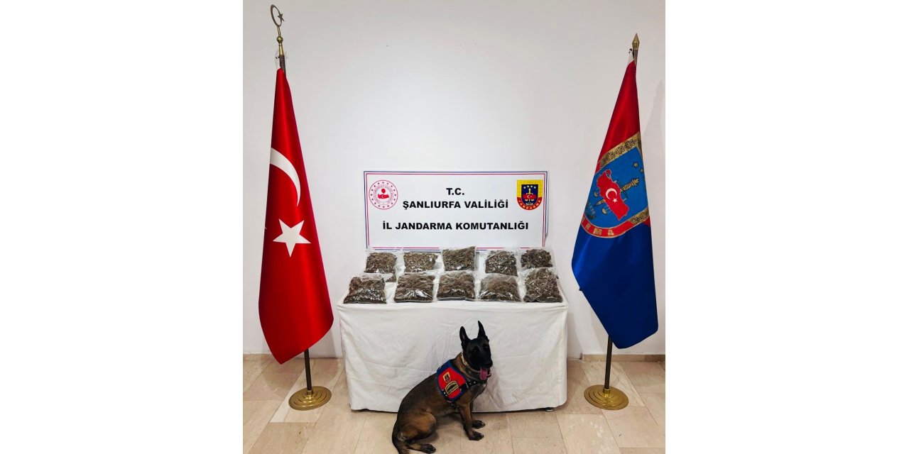 Şanlıurfa’da uyuşturucu operasyonunda 1 gözaltı