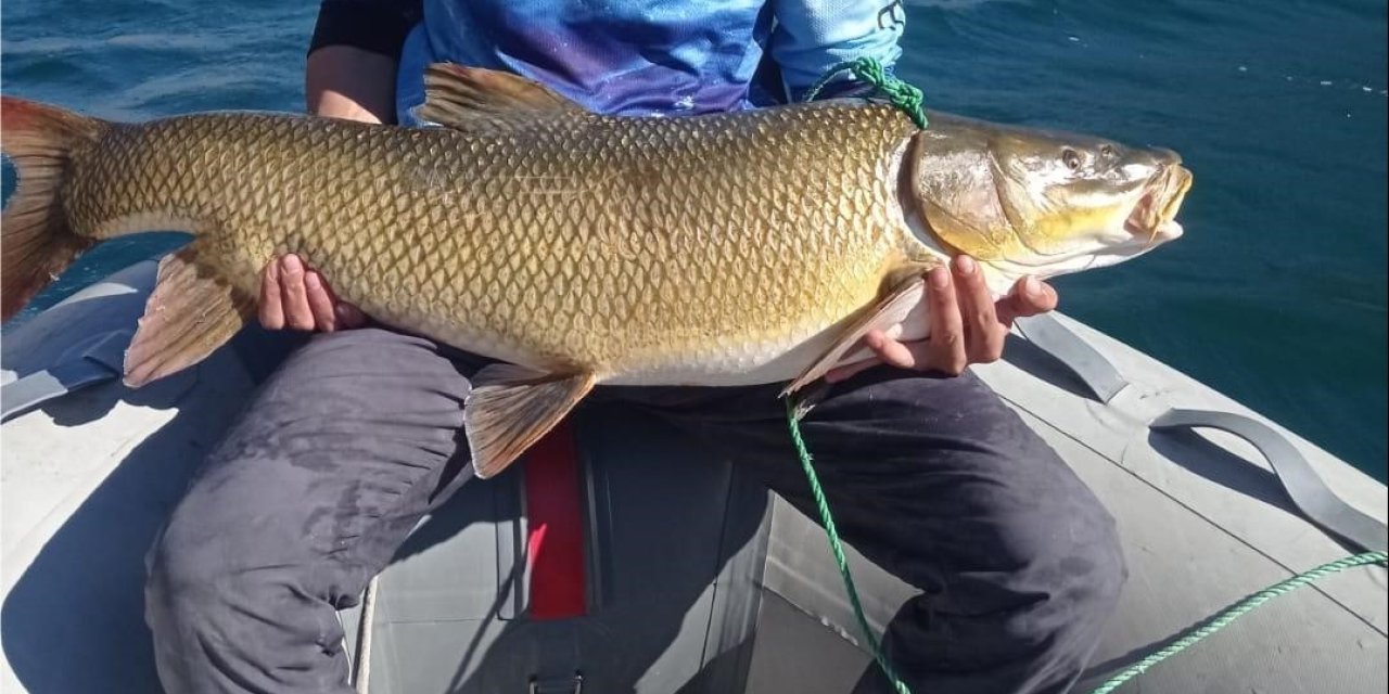 Elazığ’da balıkçı 15 kiloluk dev turna yakaladı