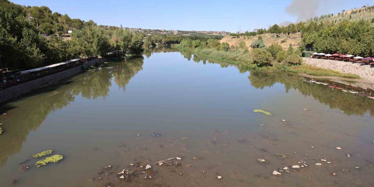 Dicle Nehri’nde balık ölümleri
