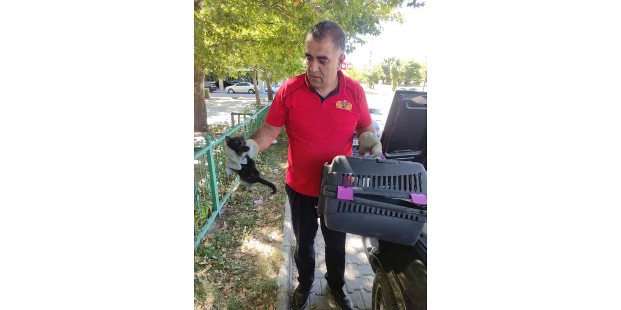 Erzincan'da otomobilin kaputuna sıkışan kedi kurtarıldı