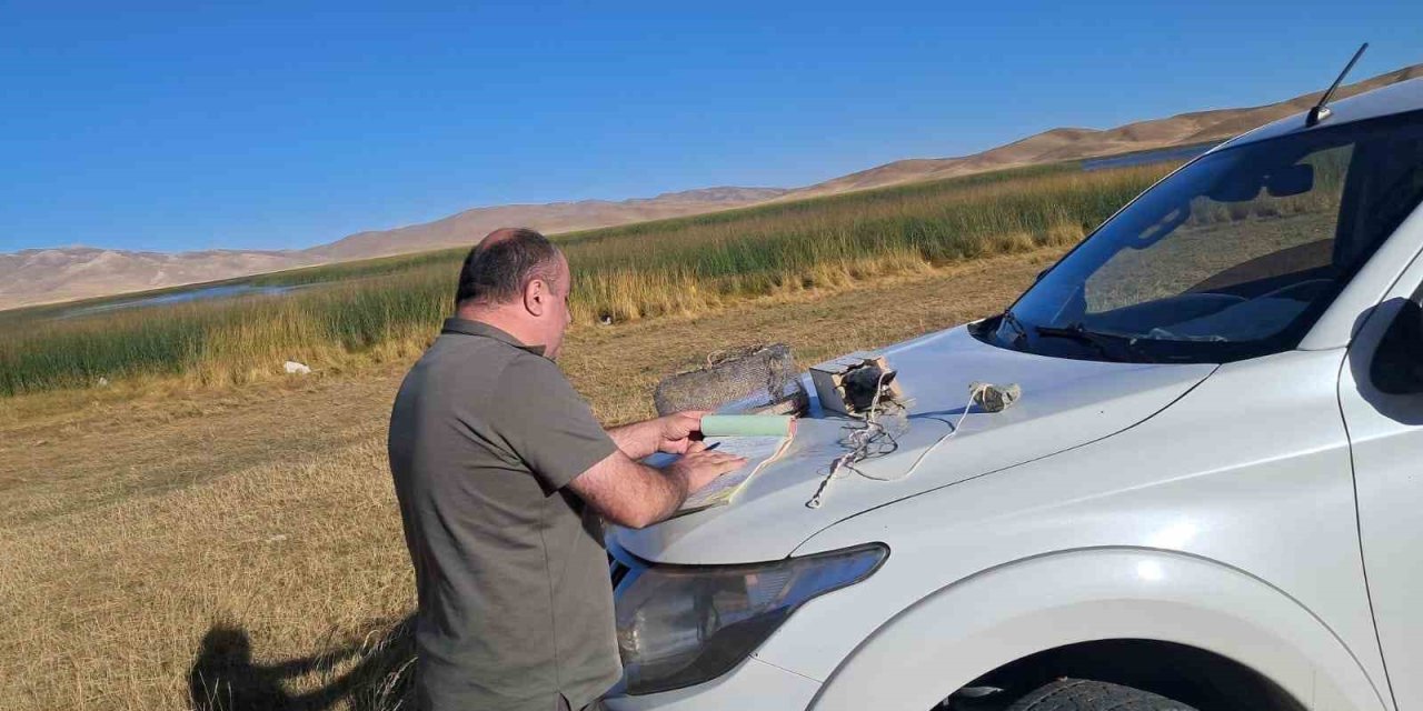 Canlı mühre ile avcılık yapan şahsa 33 bin lira cezai işlem uygulanacak