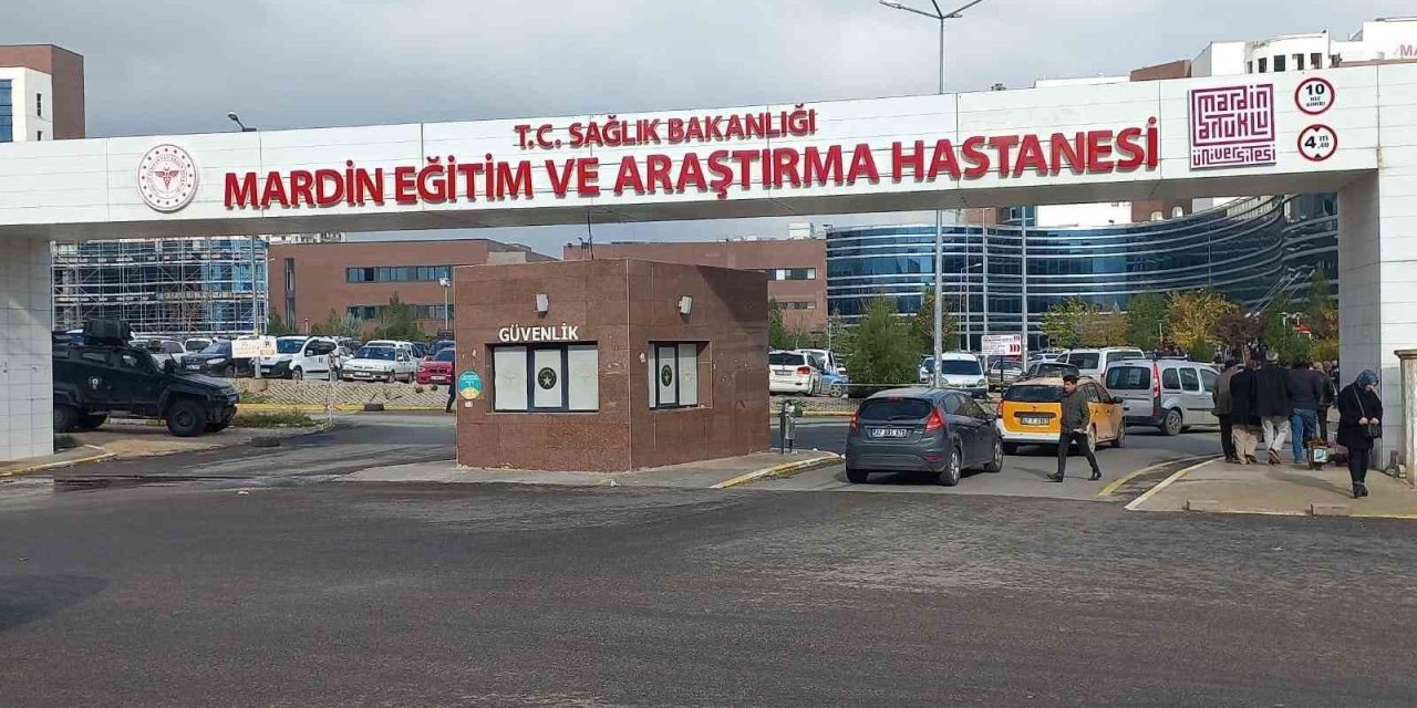 Ağaçtan düşen muhtar ağır yaralandı