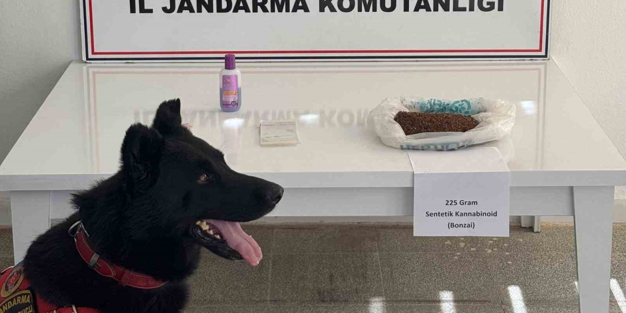 Muş’ta uyuşturucu operasyonu: 2 kişi gözaltına alındı