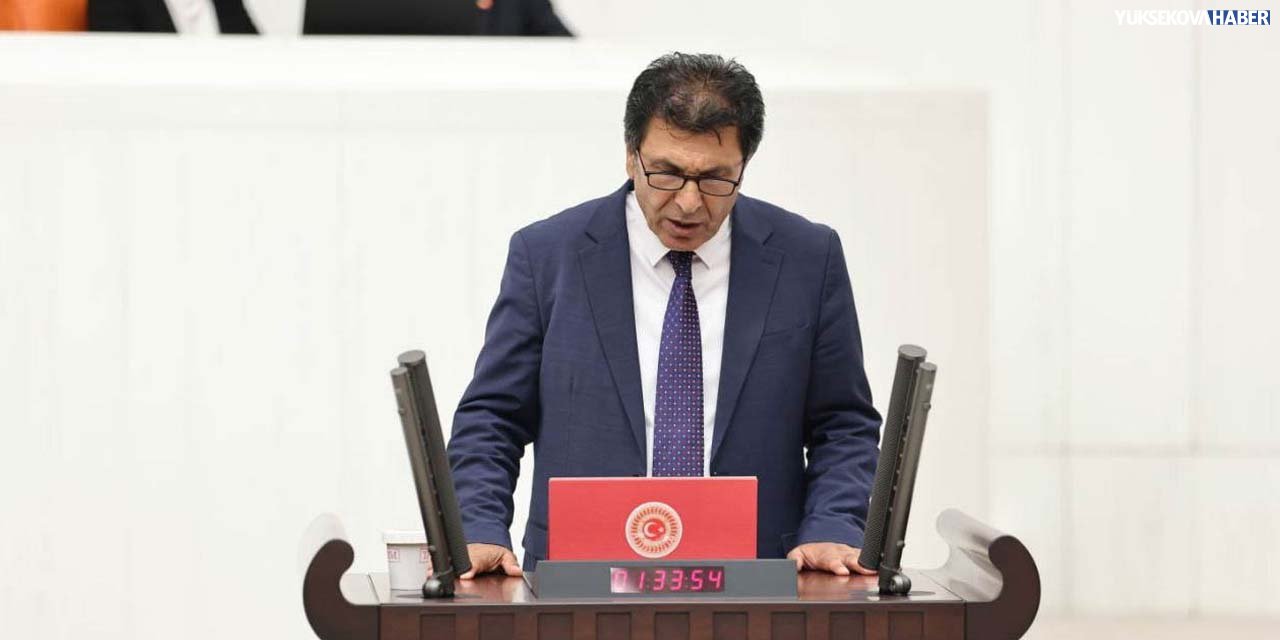 Van havalimanı sorunu meclis gündeminde