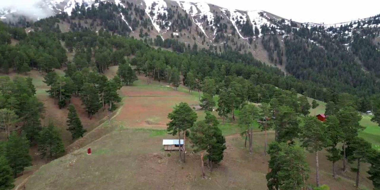 Erzurum'da yaylalara erken kar sürprizi