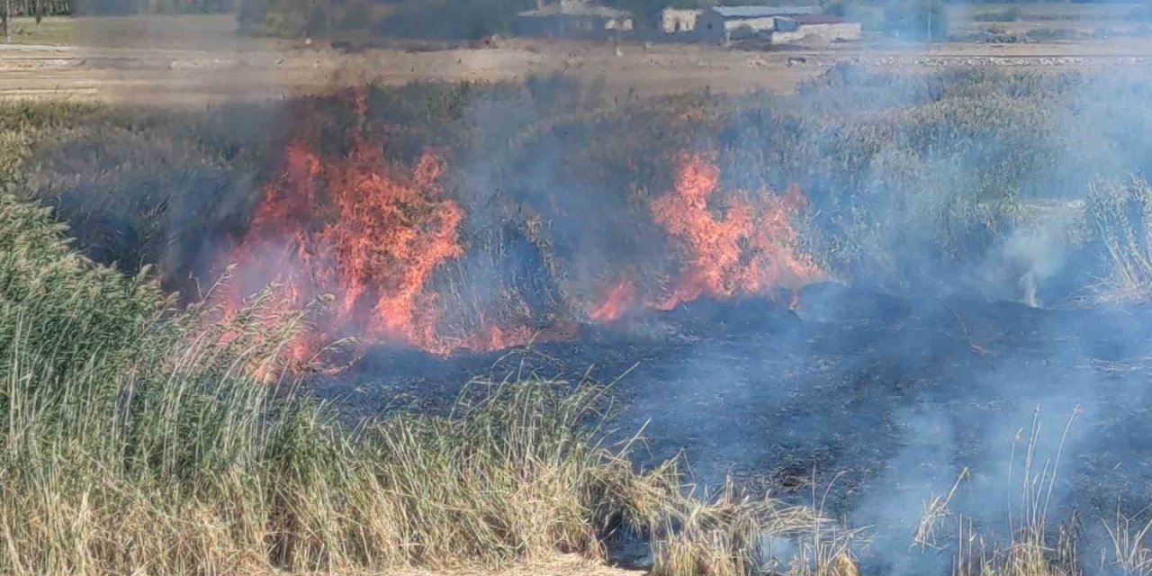 Van'da göçmen kuşların yuvası alevlere teslim oldu