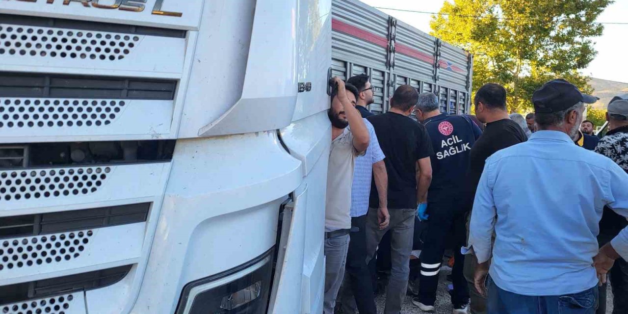 Adıyaman'da tır ile otomobil çarpıştı: 3 yaralı