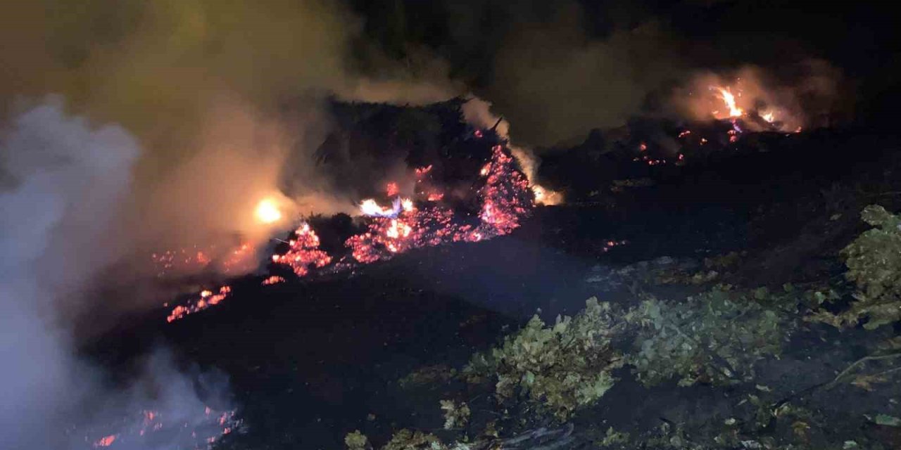 Bitlis’te çıkan yangında ot yığınları kül oldu