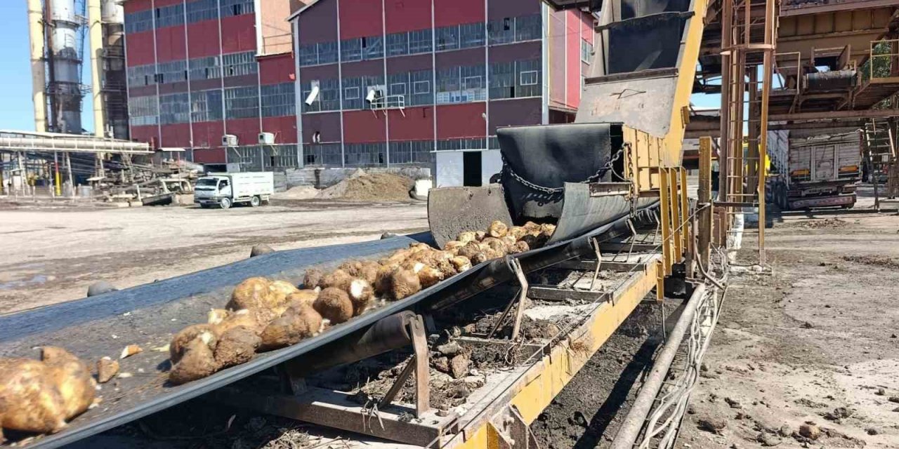 Malatya'da 62 bin ton şeker üretimi hedefleniyor