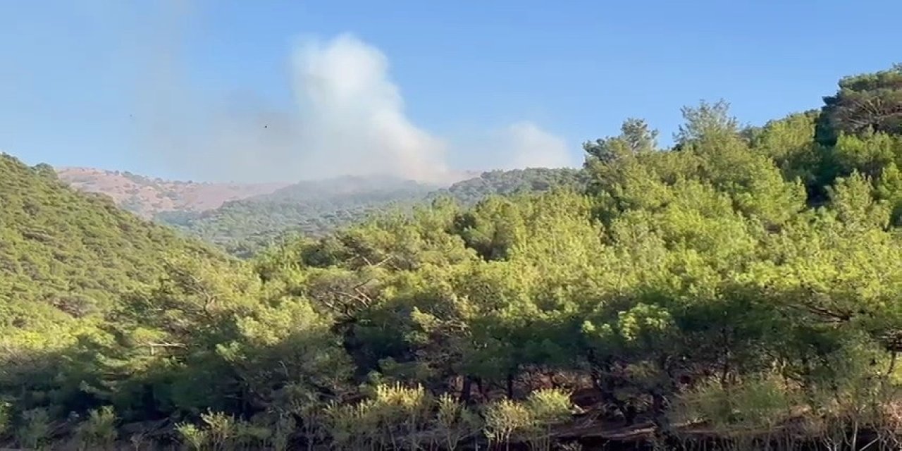 Adıyaman’da korkutan yangın