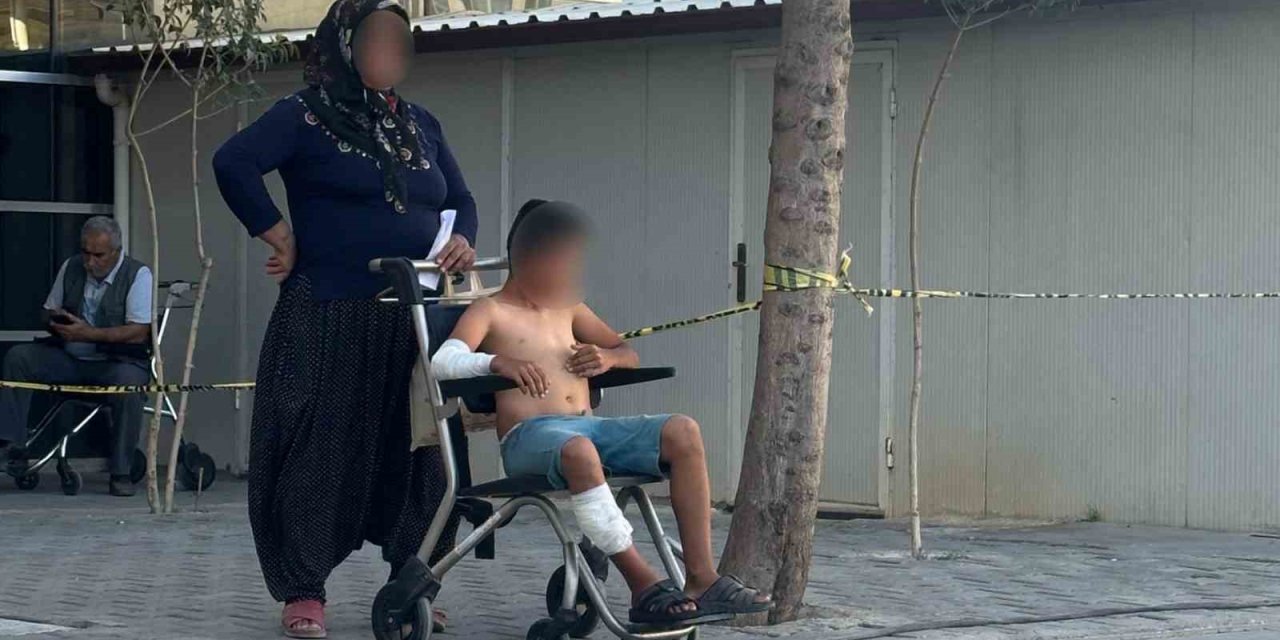 Adıyaman'da köpek saldırısına uğrayan çocuk yaralandı