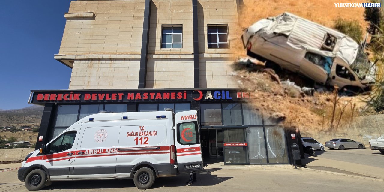 Derecik’te trafik kazası: 2 kişi yaralandı