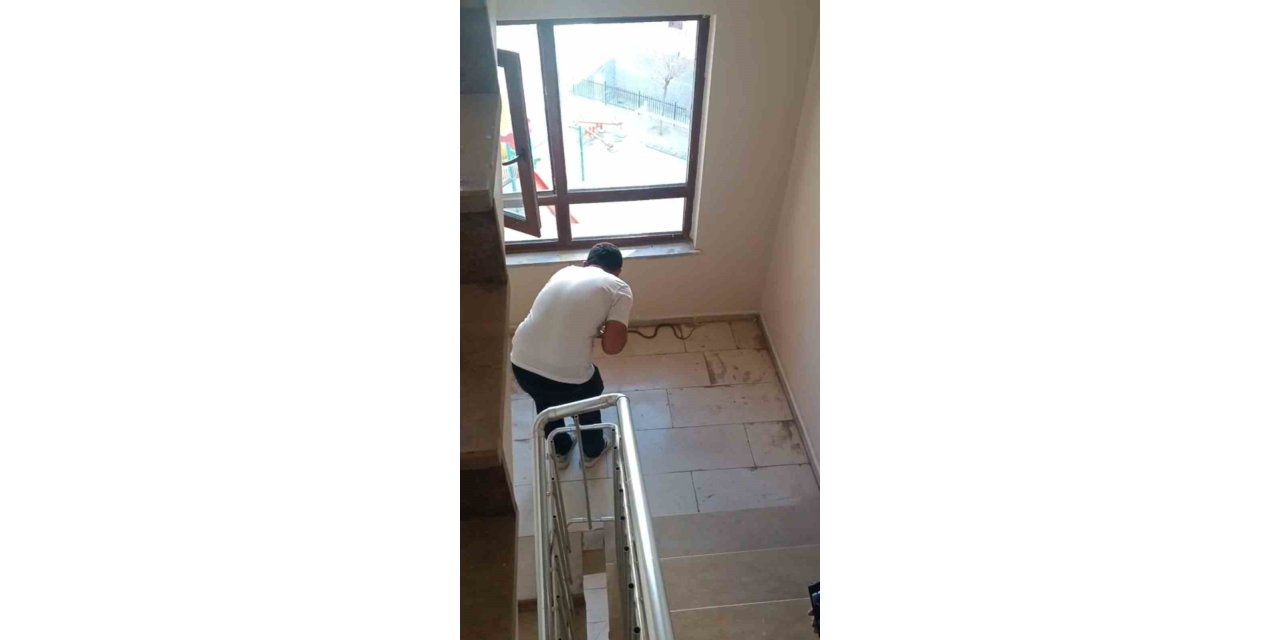 Şırnak merkezde apartmanda yılan paniği