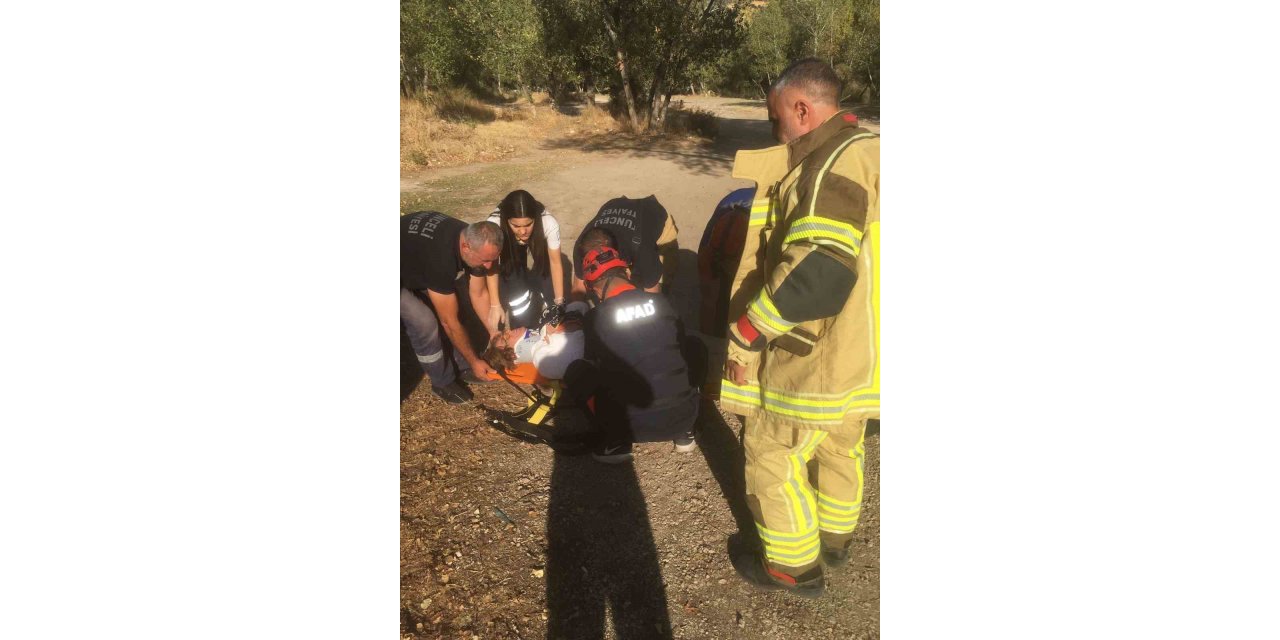 Tunceli’de trafik kazası: 5 kişi yaralandı