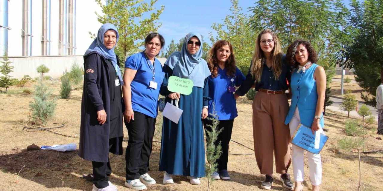 Elazığ’da fidan dikimi