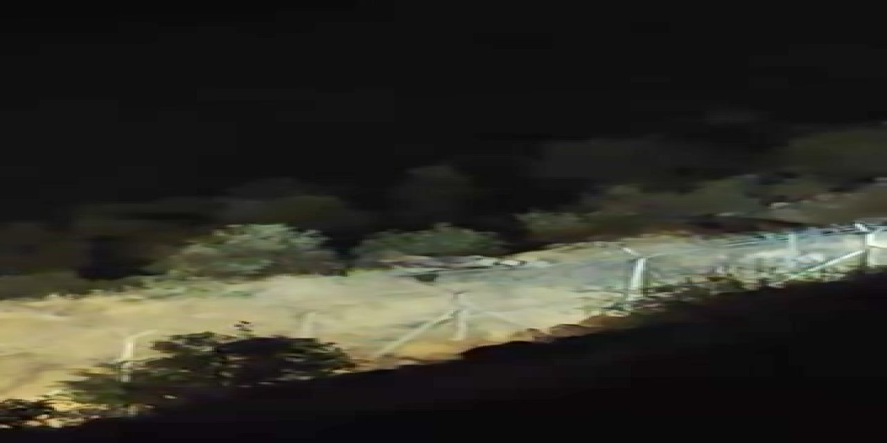 Karaali Köyü'nde ayılar kış uykusu öncesi yiyecek ararken görüntülendi