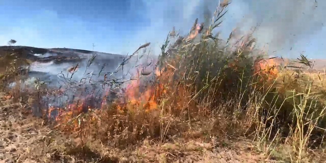 Elazığ’da otluk alanda yangın çıktı