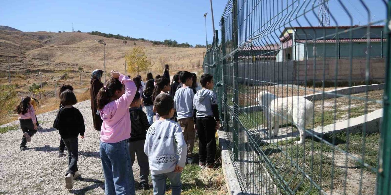 Van'da minik öğrenciler patili dostlarını ziyaret etti