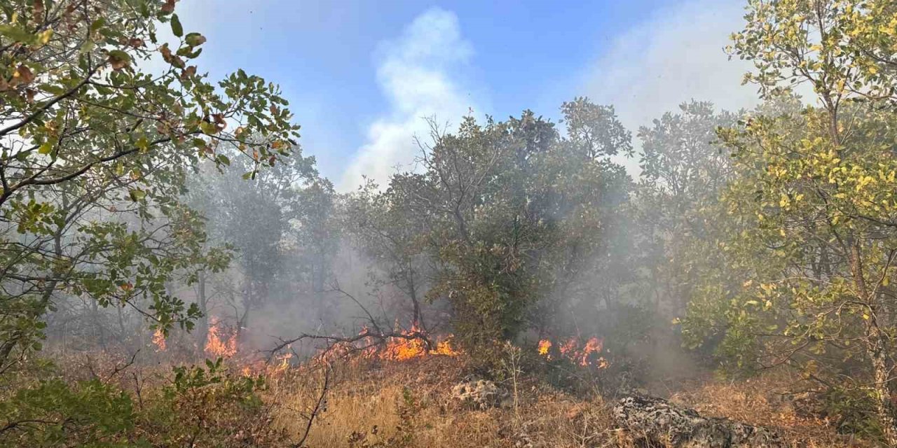 Diyarbakır’da örtü yangını 7 saat sonra söndürüldü