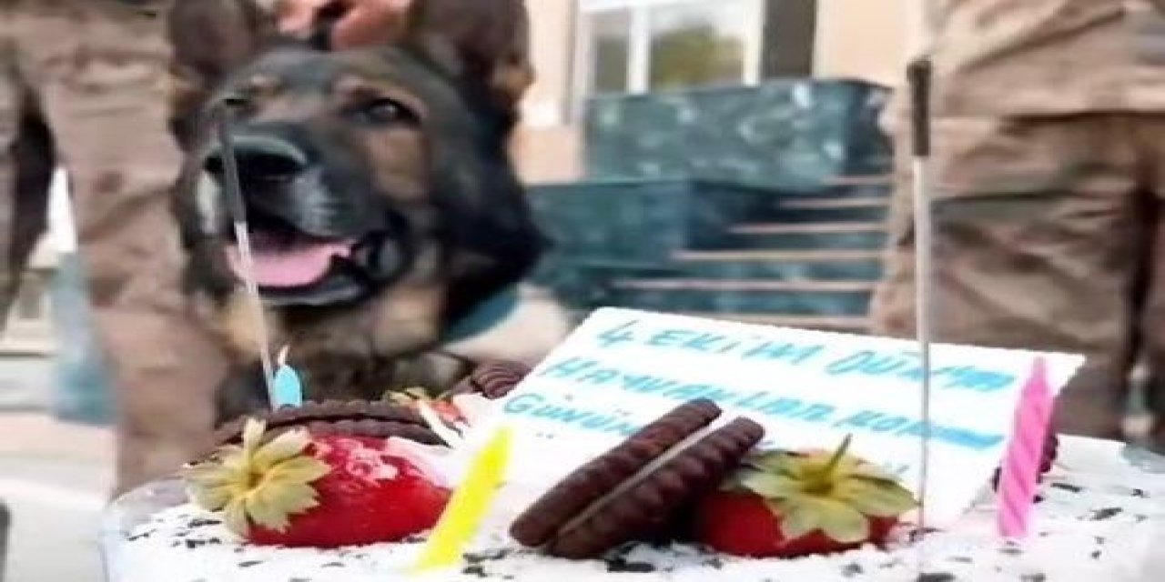 Van'da jandarmadan ‘can dostlara’ özel kutlama