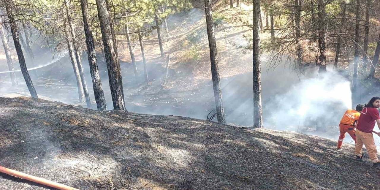 Bingöl’de çıkan orman yangını söndürüldü