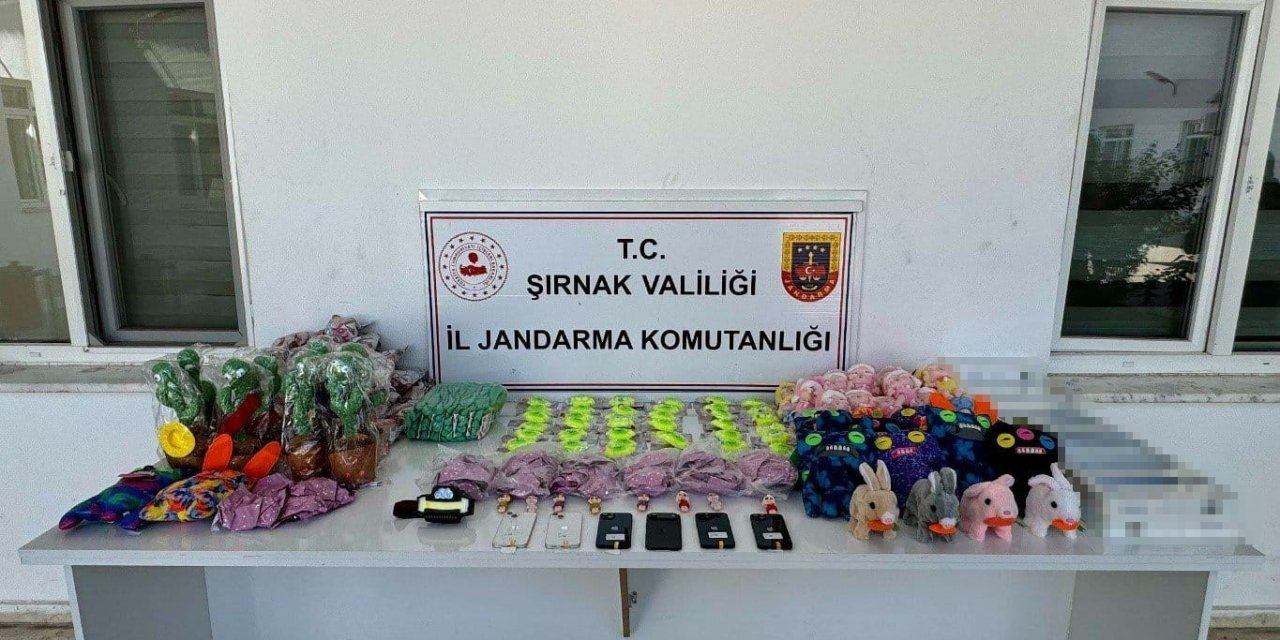 Jandarmadan kaçakçılık operasyonu: 98 kişi hakkında yasal işlem yapıldı