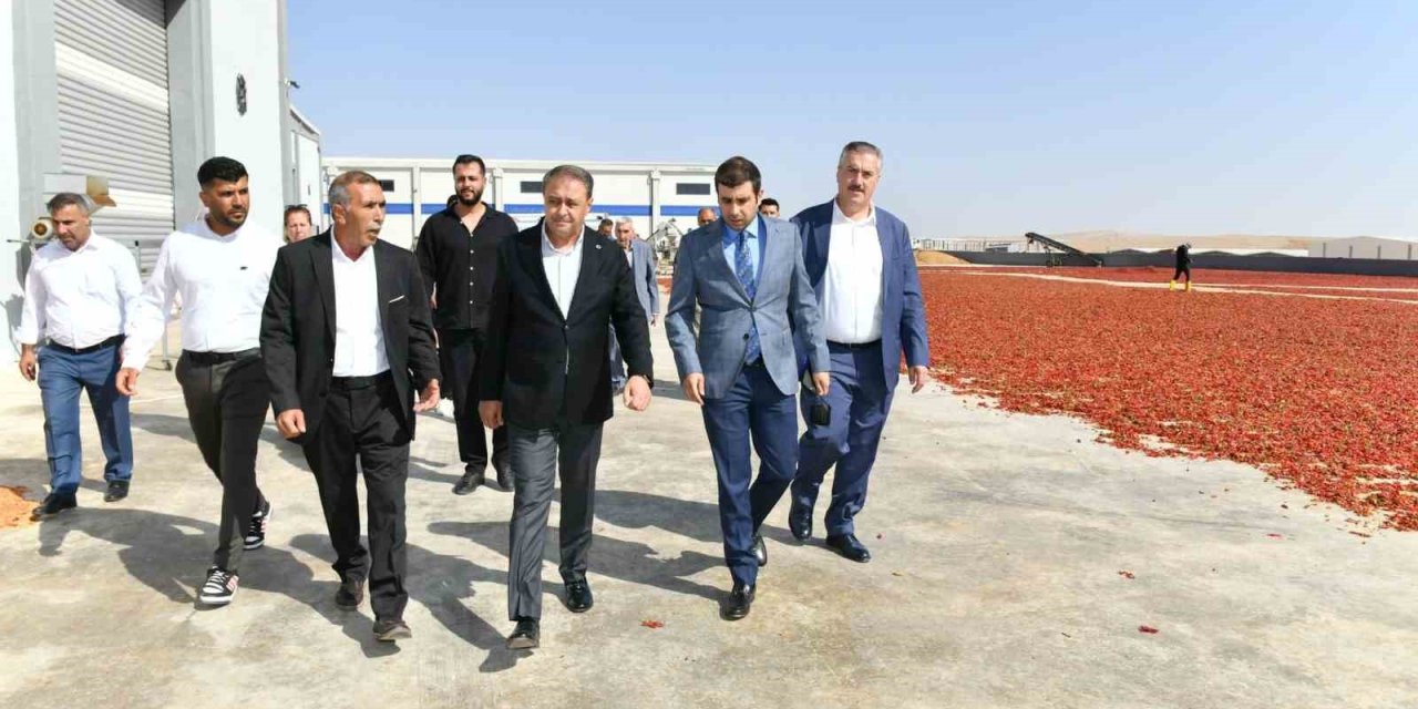Şanlıurfa Valisi Hasan Şıldak Gıda OSB’de inceleme yaptı