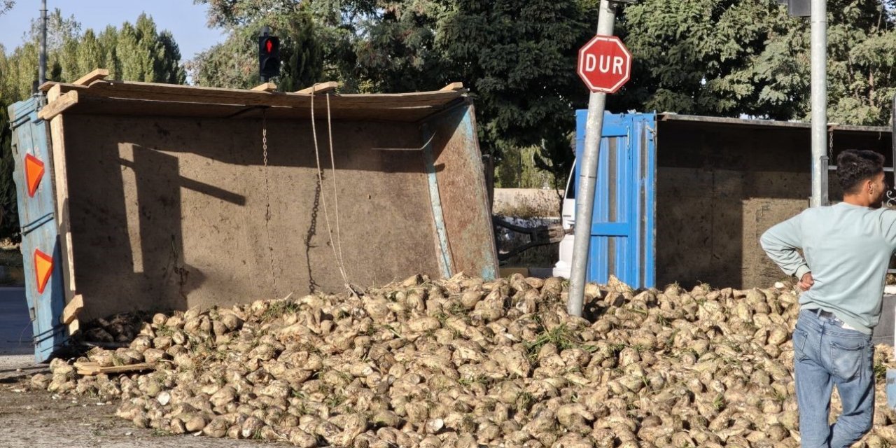 Muş’ta pancar yüklü traktör devrildi