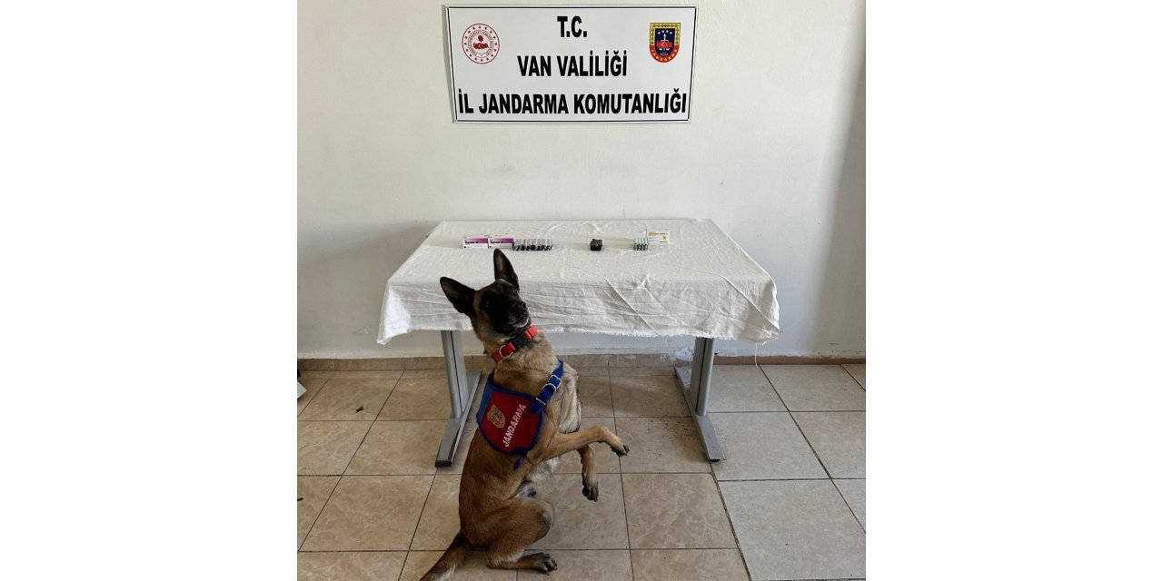 Van’da İranlı şahsın üzerinden 380 adet sentetik hap ele geçirildi