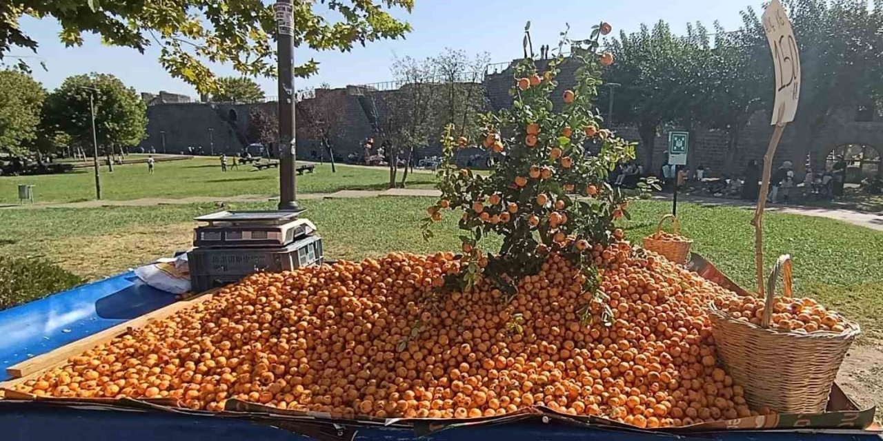 Alıç meyvesi tezgahlardaki yerini aldı