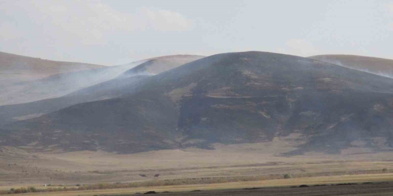 Kars’ta anız yangını çıktı